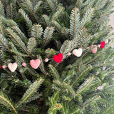 A wool felt love garland is draped across a green Christmas tree. This soft, felted garland features alternating felt balls in a festive pattern of red, blush pink, and white, strung along a thin white string, creating a cozy atmosphere.