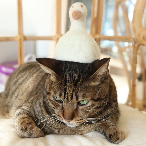 Felt Duck Hat For Cats