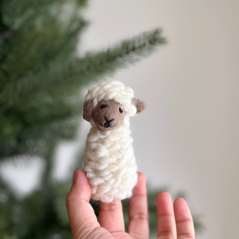 Wool Puppet Making Woolly Sheep Puppet